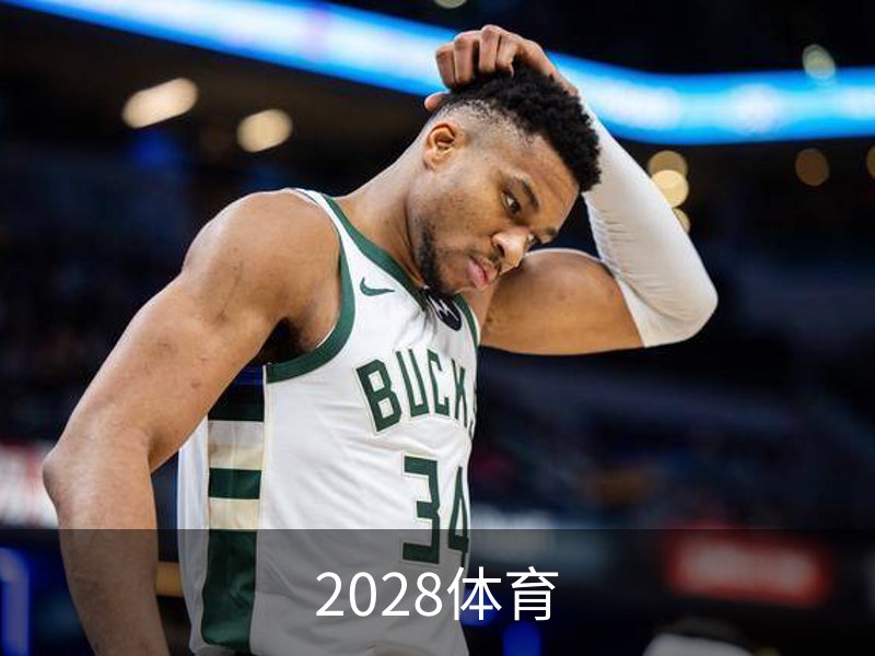 关于2028体育